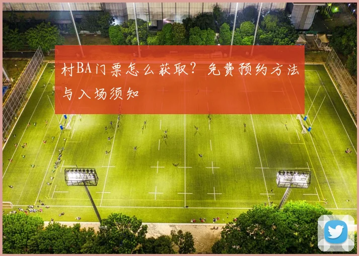 村BA门票怎么获取?免费预约方法与入场须知