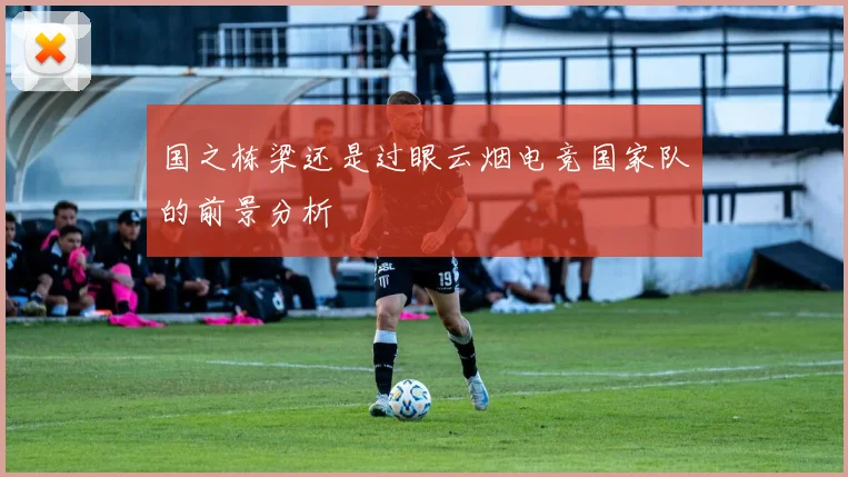 国之栋梁还是过眼云烟电竞国家队的前景分析